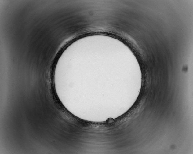 X0000103421218200810241026