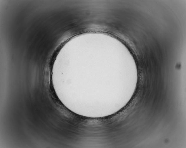 X0000103421219200810241026
