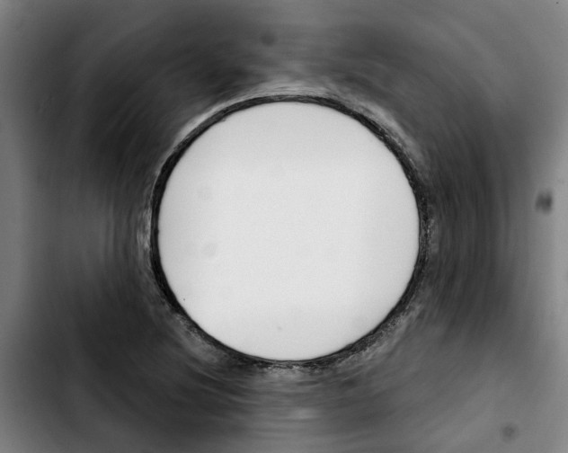 X0000103421220200810241026