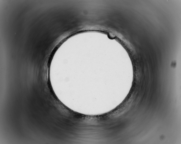 X0000103421221200810241026