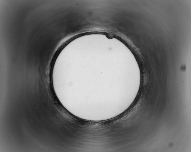 X0000103421222200810241026
