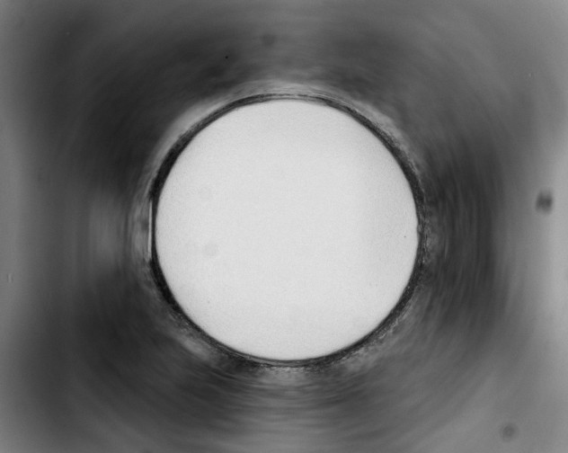 X0000103421223200810241026