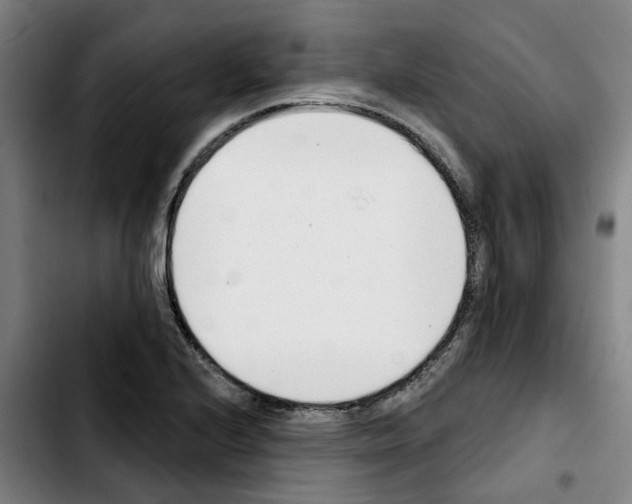 X0000103421224200810241026