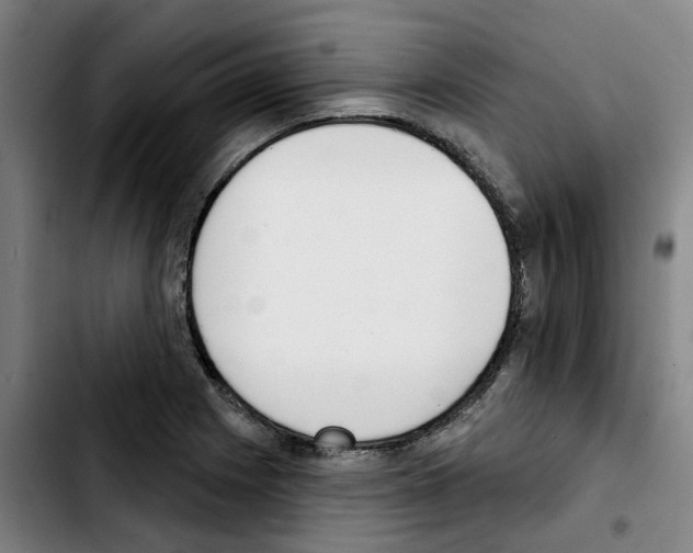 X0000103421225200810241026