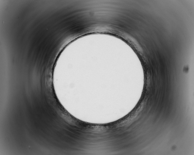 X0000103421226200810241026