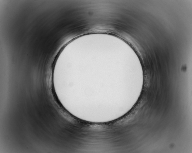 X0000103421227200810241027