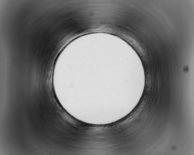 X0000103421228200810241027