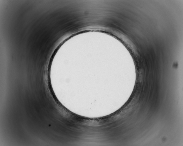 X0000103421229200810241027