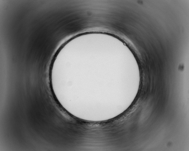 X0000103421230200810241027