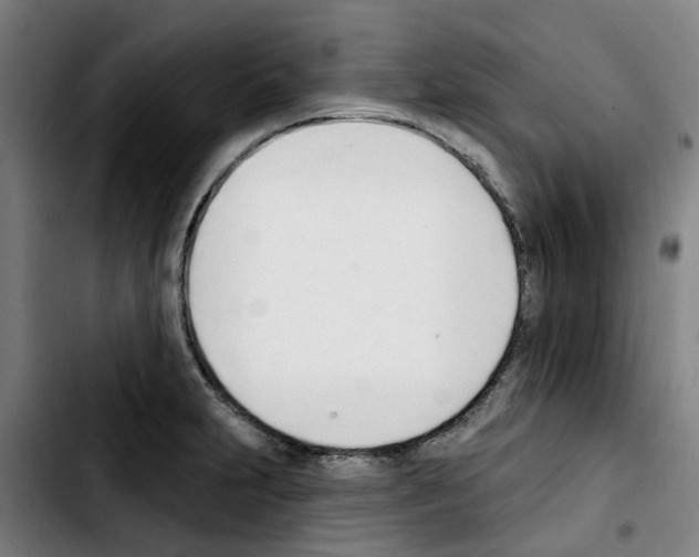 X0000103421231200810241027