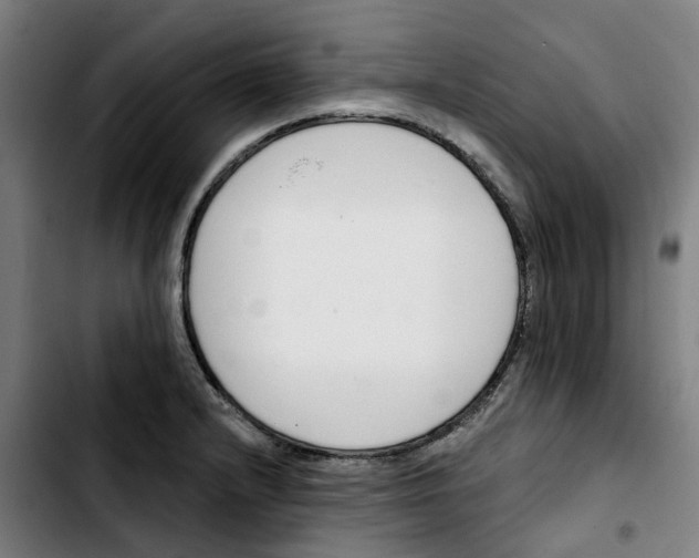 X0000103421232200810241027