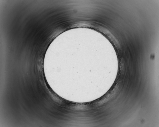 X0000103421233200810241027