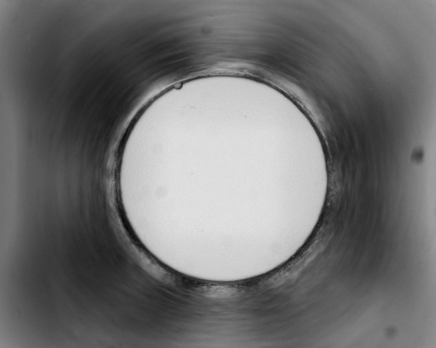 X0000103421235200810241027