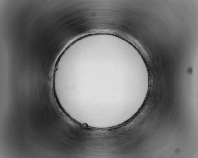 X0000103421236200810241027