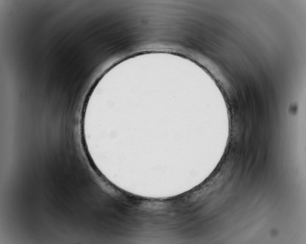 X0000103421237200810241027