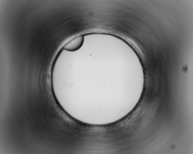 X0000103421238200810241027