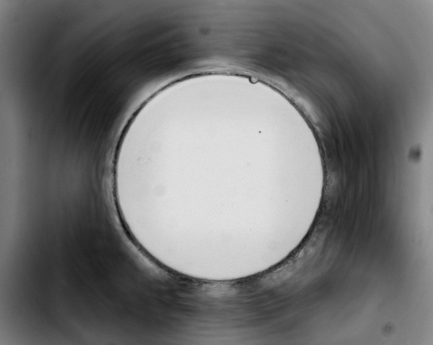 X0000103421239200810241027