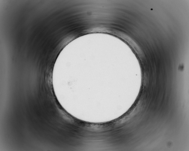 X0000103421241200810241027