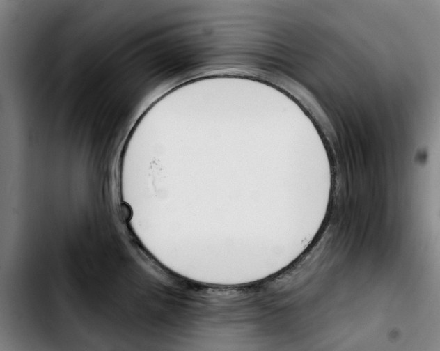 X0000103421242200810241027