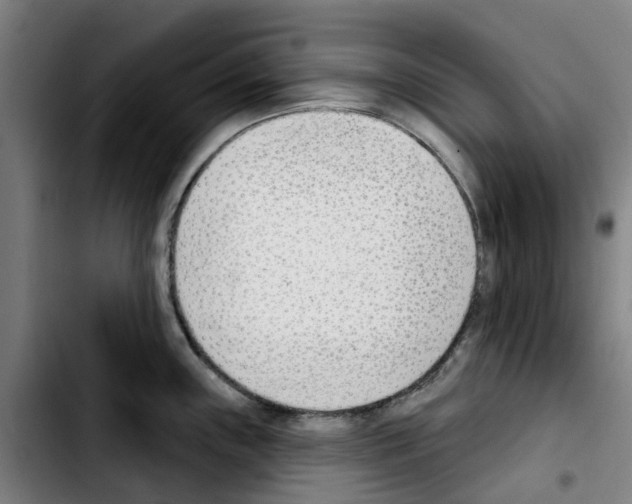 X0000103421243200810241027