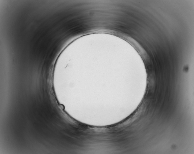 X0000103421244200810241027
