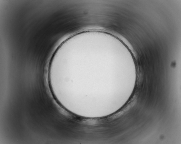 X0000103421245200810241027
