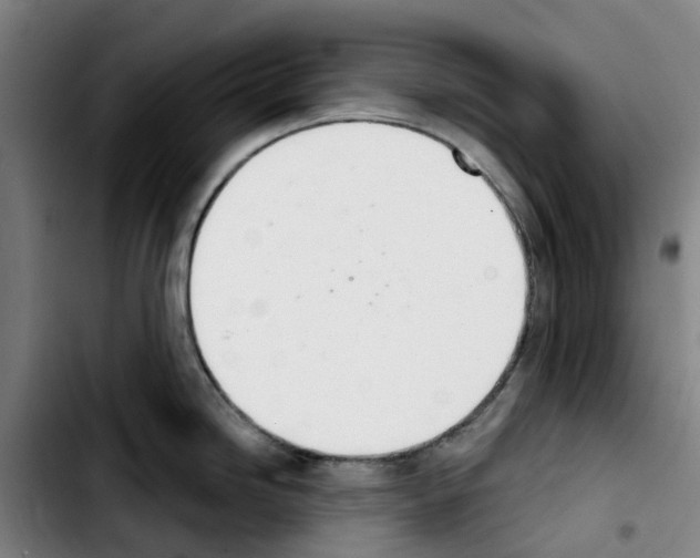 X0000103421246200810241027