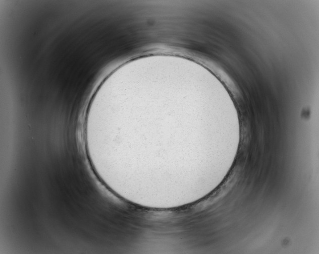 X0000103421247200810241027