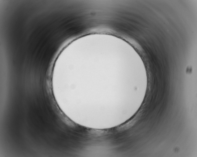 X0000103421248200810241027