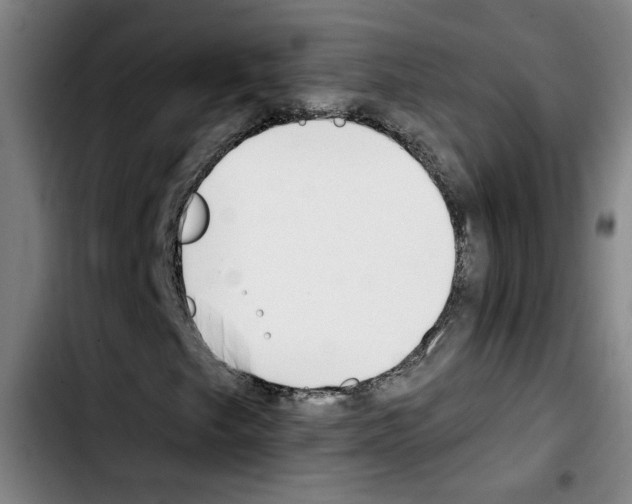 X0000103421249200810241026
