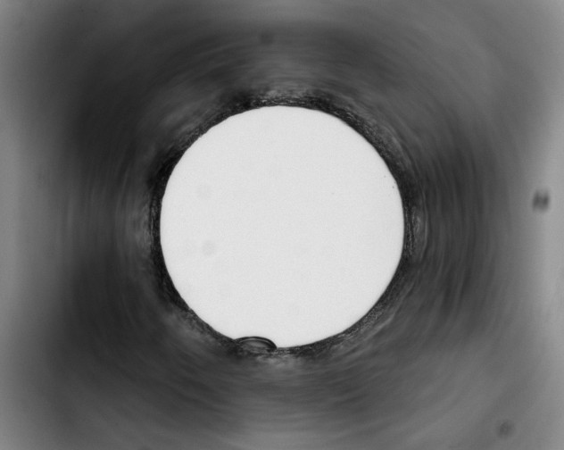 X0000103421250200810241026