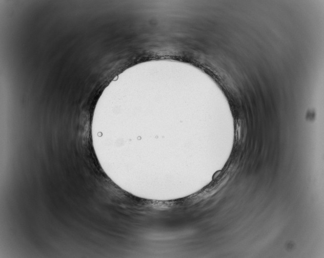 X0000103421251200810241026