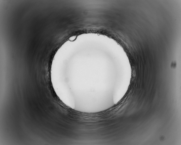 X0000103421252200810241026