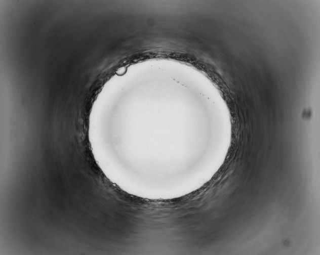 X0000103421253200810241026