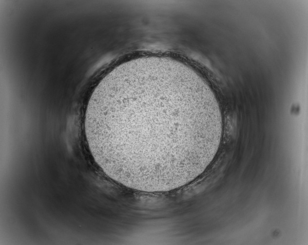 X0000103421254200810241026