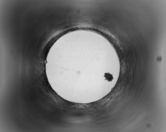 X0000103421255200810241026