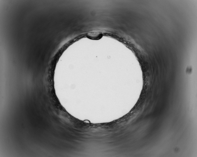 X0000103421256200810241026