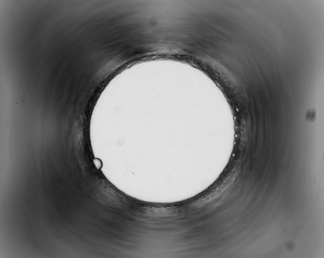 X0000103421257200810241026