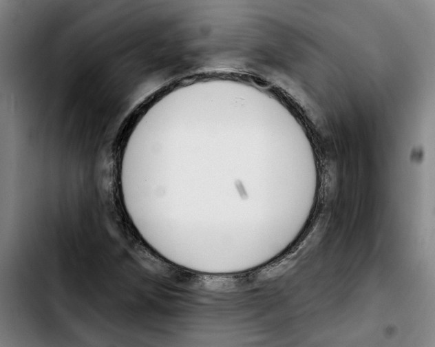 X0000103421258200810241026