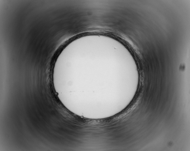 X0000103421259200810241026