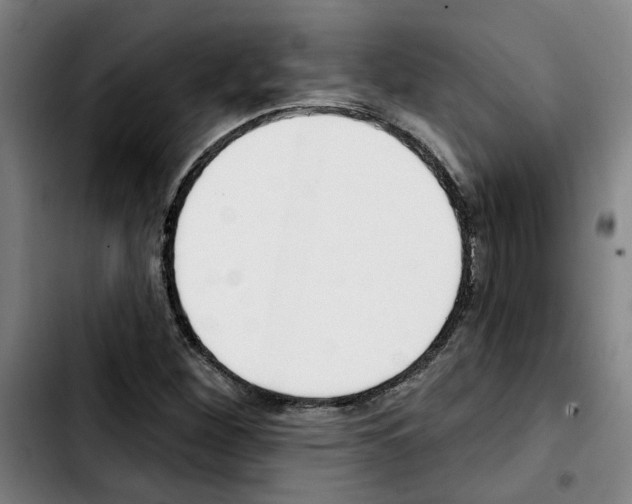 X0000103421260200810241026