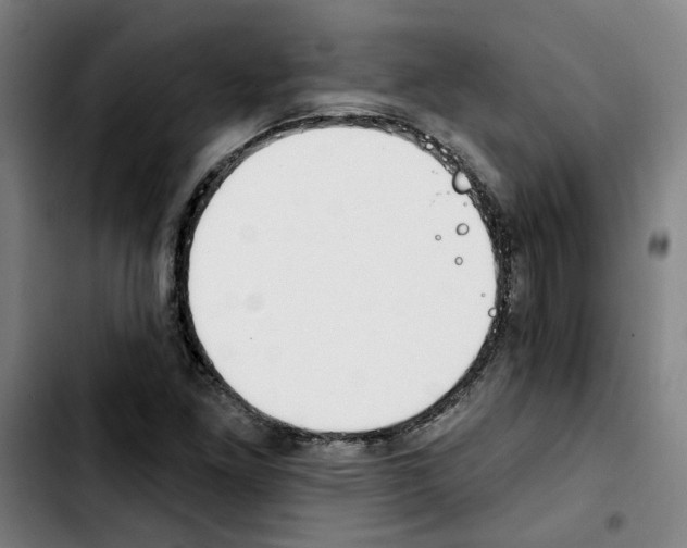 X0000103421261200810241026