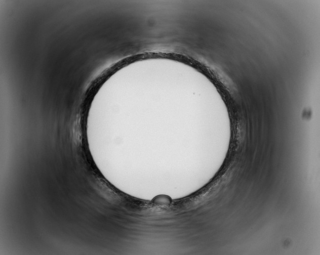 X0000103421262200810241026
