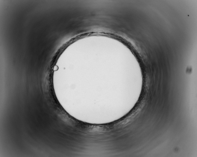 X0000103421263200810241026