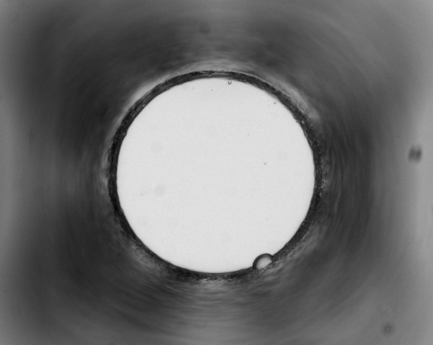 X0000103421264200810241026