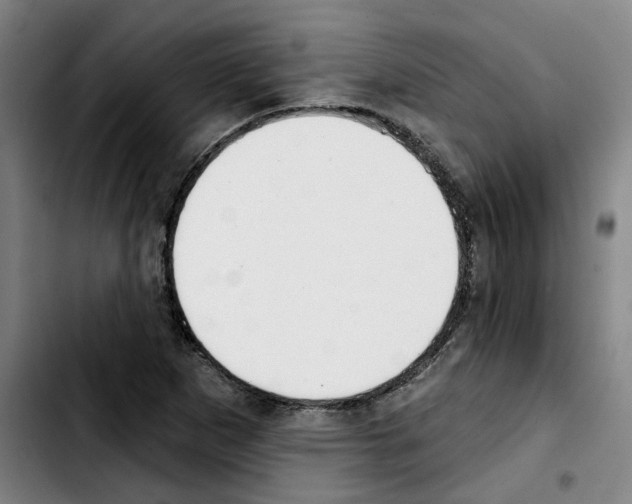 X0000103421265200810241026