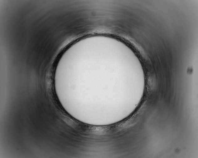 X0000103421266200810241026