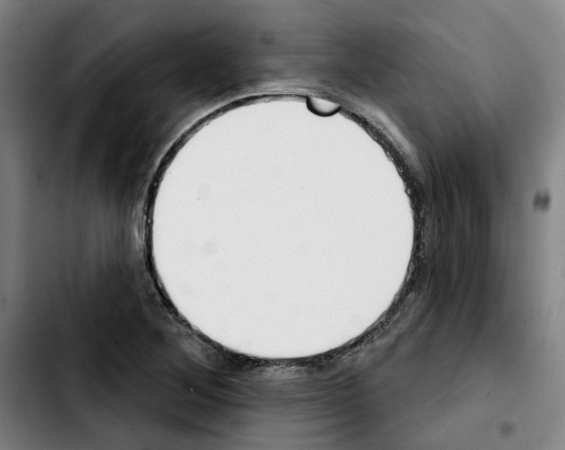 X0000103421268200810241026