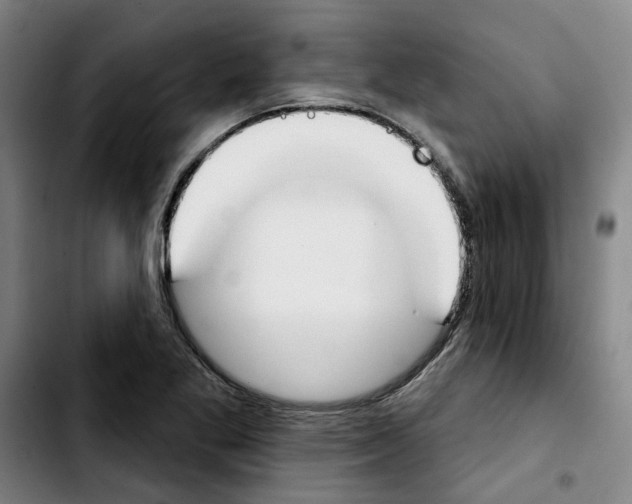X0000103421269200810241026