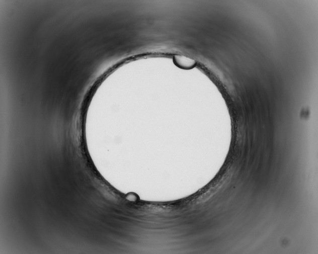 X0000103421270200810241026